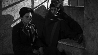 Shoeshine Trailer