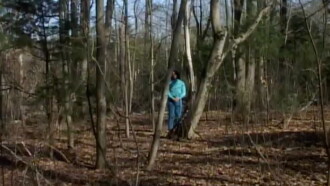 Shook Branches Trailer