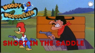 Short in the Saddle Trailer