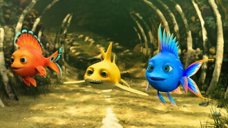 Shorty and the Legend of the Enchanted Reef Trailer