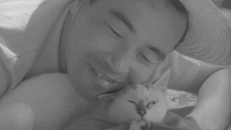 Shozo, a Cat and Two Women Trailer
