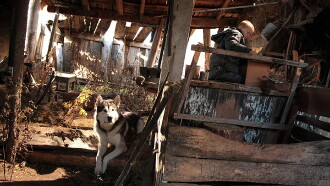 Siberia, Monamour Trailer