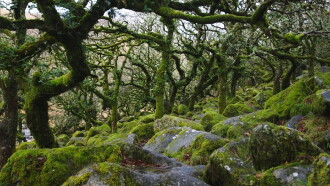 Sideworld: Haunted Forests of England Trailer