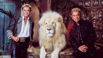 Siegfried und Roy - Ein Leben für die Illusion Trailer