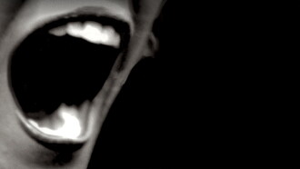 Silent Scream Trailer