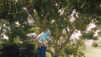 Singit Trailer