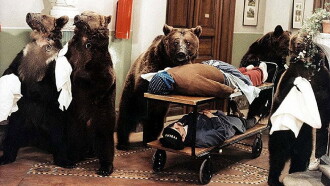 Six Bears and a Clown Trailer