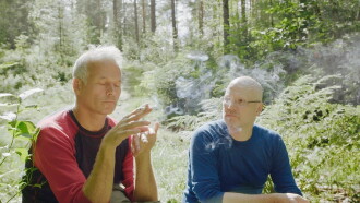 Skogen Trailer