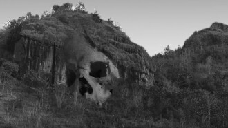 Skull Trailer