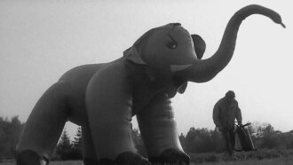 Słoń Trailer
