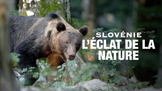 Slovénie - L’éclat de la nature Trailer