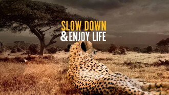 Slow Down and Enjoy Life Trailer