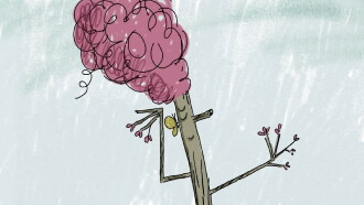 Snow and the Magic Trees Trailer