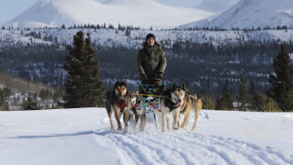 Snow Dogs Trailer