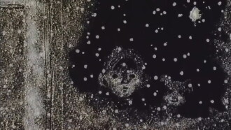 Snow Will Cover the Roads Trailer