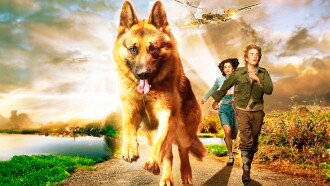Snuf De Hond In Oorlogstijd Trailer