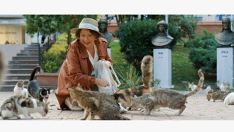 Some Cats of the Neighborhood Trailer
