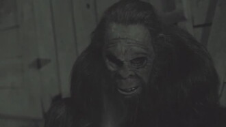 Something in the Woods Trailer