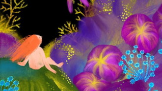 Somewhere in the Garden Trailer