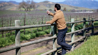 Somm Trailer