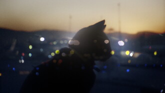 Somos animales Trailer
