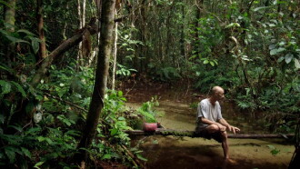Song from the Forest Trailer