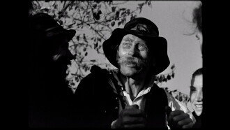 Song of the Cornfields Trailer