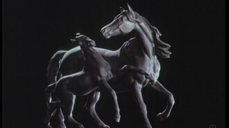 Song of the Horse Trailer
