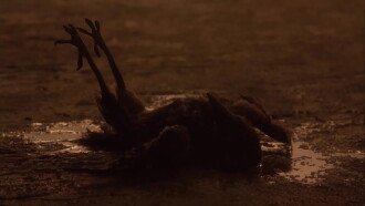 Sororal Trailer