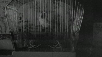 S.O.S. Fonske Trailer