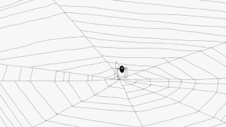 Spider Web Trailer