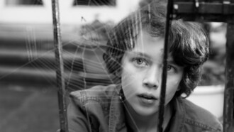 Spiderwebhouse Trailer