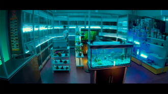 Splen Trailer