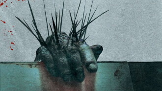 Splinter Trailer