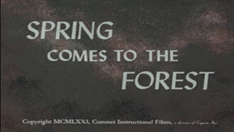 Spring Comes to the Forest Trailer