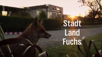 Stadt, Land, Fuchs! Trailer