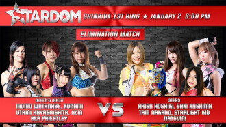 Stardom New Year Stars 2019 ~ Day 1 Trailer