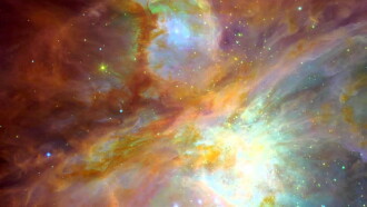 StarGaze HD: Universal Beauty Trailer