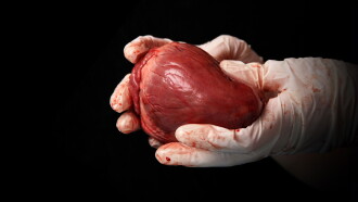 State Organs: Unmasking Transplant Abuse in China Trailer
