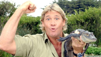 Steve Irwin's Most Dangerous Adventures Trailer