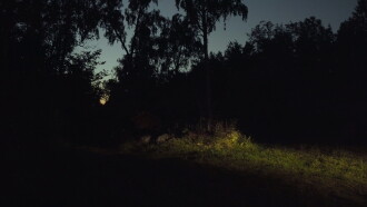 Still Trailer