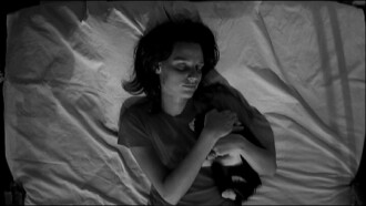 Still Looking for Morphine Trailer