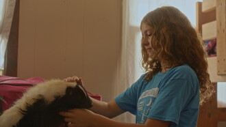 Stinky Summer Trailer