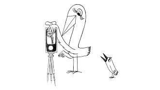 Strange Birds Trailer