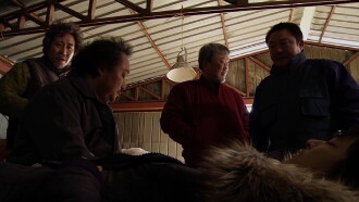 Stray Dogs Trailer