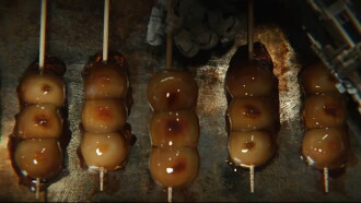 Street Food Trailer
