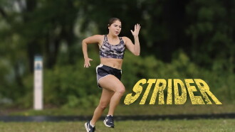 Strider Trailer