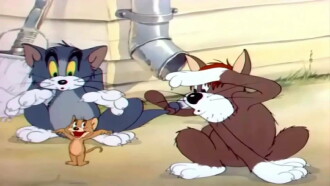 Sufferin' Cats! Trailer