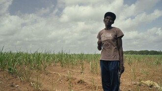 Sugar Cane Malice Trailer