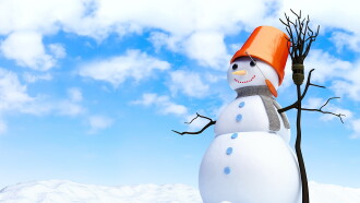 Summer Snowman Trailer